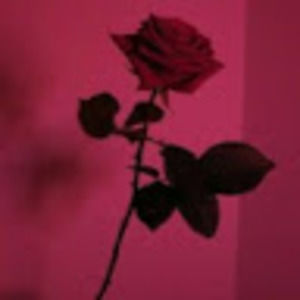 Meet your Posher, Kassidy